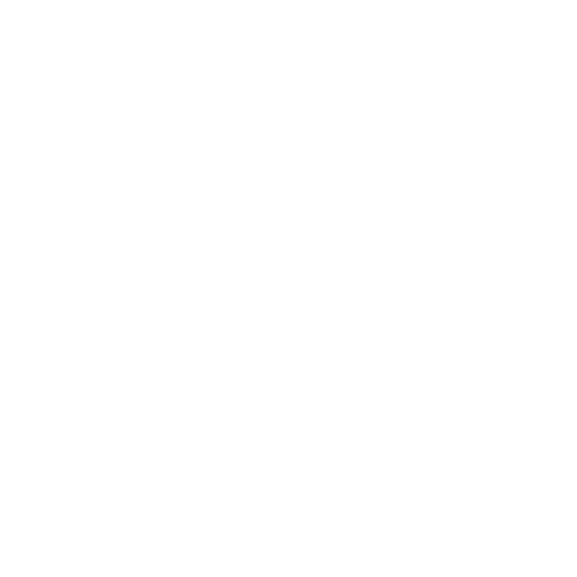 X Icon